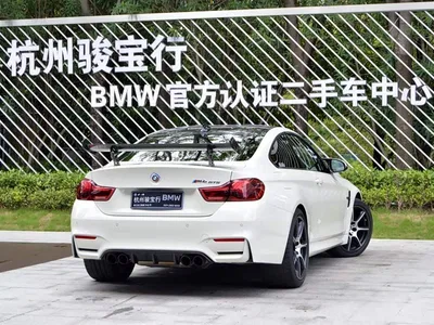 2016 BMW M4 GTS, фото 2, лот 10412951