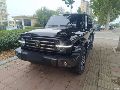 2023 Tank 300 Urban Edition 2.0T Must-Have Type, фото 2, лот 11181428