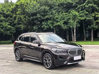 2022 BMW X1 sDrive25Li Leading, фото 3, лот 10465309