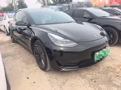 2021 Tesla Model 3 Standard Range Rear-Wheel Drive Upgrade 3D6, фото 3, лот 10451275