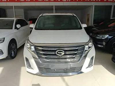 2020 GAC Trumpchi Trumpchi M8 Pilot 390T Ultimate Edition, фото 3, лот 11502019