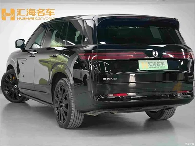 2025 Denza N9 Model Premium Excellence, фото 4, лот 11567613