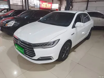 2019 BYD Qin 1.5L Automatic Luxury Edition, фото 1, лот 11177983