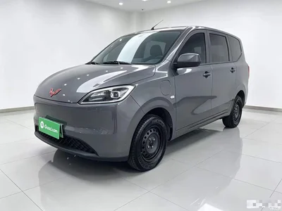 2024 Wuling Motors Wuling Hongguang New Energy Pure Electric 300KM Standard, фото 1, лот 11144827
