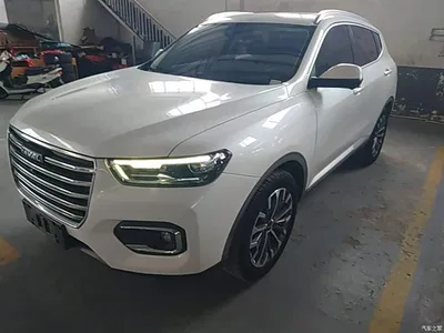 2020 Haval H6 1.5GDIT Automatic Platinum Champion Edition, фото 1, лот 10286967