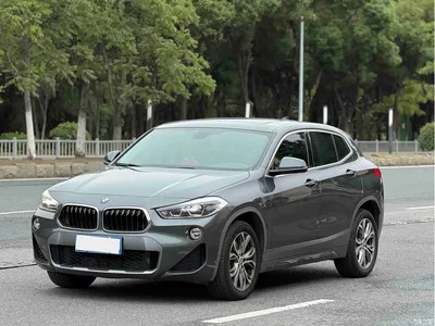 2019 BMW X2 (Import) sDrive25i Leading M Off-Road Package China VI, фото 1, лот 11534180