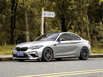 2018 BMW M2 Thunder Edition, фото 1, лот 10430971