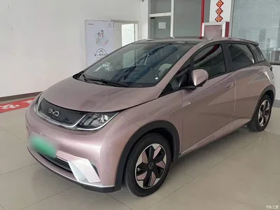 2025 BYD Dolphin 420km Fashion Edition, фото 2, лот 10849219