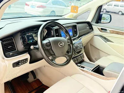 2020 GAC Trumpchi Trumpchi M8 Pilot 390T Flagship Edition, фото 4, лот 10415275