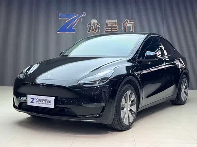 2022 Tesla Model Y Rear-Wheel Drive Version, фото 1, лот 10830254