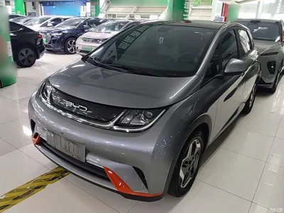 2021 BYD Dolphin Model 405km Fashion Edition, фото 2, лот 10382176