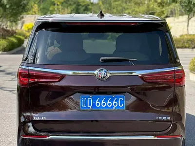 2020 Buick GL8 Avenir Six-Seat Elegance Edition, фото 4, лот 11181034