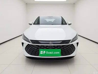2025 BYD Qin PLUS DM-i Smart Drive 55KM Leader, фото 2, лот 11193707