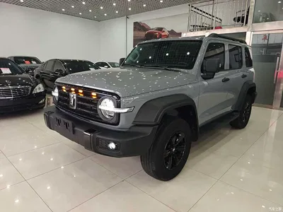 2023 Tank 300 Off-Road Edition 2.0T Conqueror, фото 1, лот 10345140