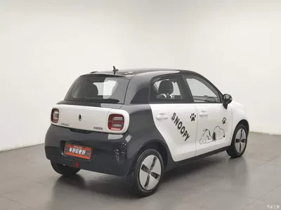 2021 Ora Black Cat 301km Basic Model, фото 2, лот 10330436
