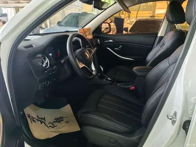 2019 BYD Song New Energy Song EV500 Smart Connection Premium, фото 4, лот 10273379