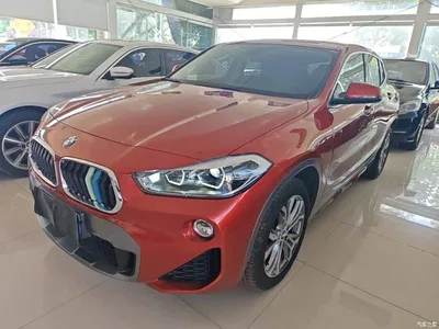 2019 BMW X2 (Import) sDrive25i Leading M Off-Road Package China VI, фото 1, лот 11016764