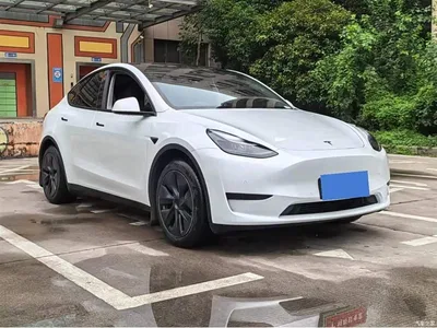 2023 Tesla Model Y Rear-Wheel Drive Edition, фото 3, лот 11249276