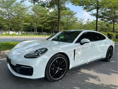 2023 Porsche Panamera Executive Long Wheelbase Platinum Edition 2.9T, фото 3, лот 10445790