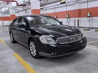 2005 Nissan Teana 350JM-VIP, фото 3, лот 10346038