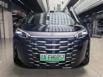 2025 BYD Xia DM-i 1.5T 180km Excellence, фото 2, лот 10258224