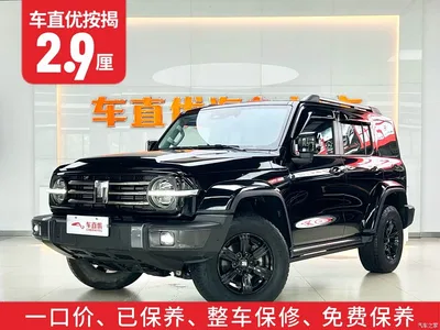 2023 Tank 300 Urban Edition 2.0T Very Stylish, фото 2, лот 10344066