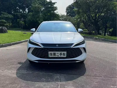 2024 BYD Qin L DM-i 120KM Superior Edition, фото 2, лот 10255356