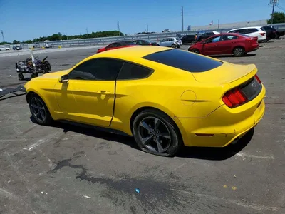 2016 FORD MUSTANG, фото 2, лот 10557946