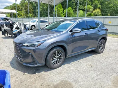 2024 LEXUS NX 250 BASE, фото 1, лот 10901213