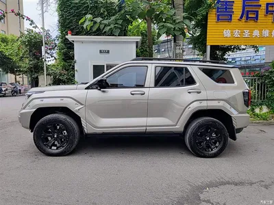 2024 Tank 400 New Energy Hi4-T Off-Road Edition, фото 3, лот 10344134