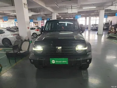 2021 Tank 300 Off-road Version 2.0T Conqueror, фото 3, лот 11564749