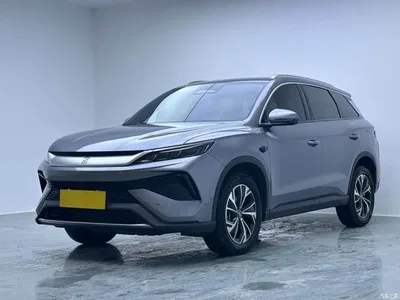 2025 BYD Song Pro New Energy 2nd Generation Smart Drive Edition DM-i 75KM Surpassing Type, фото 1, лот 10274832