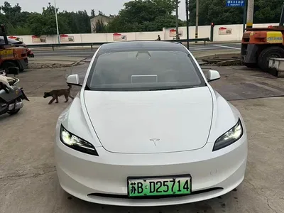 2025 Tesla Model 3 Model Rear-Wheel Drive Edition, фото 2, лот 10355051