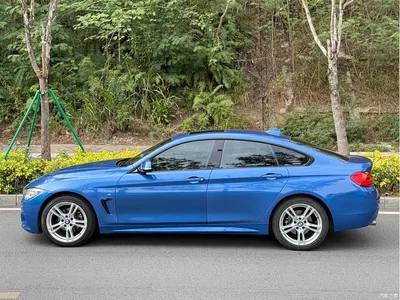 2016 BMW 4 Series 420i Gran Coupe M Sport, фото 3, лот 10421097