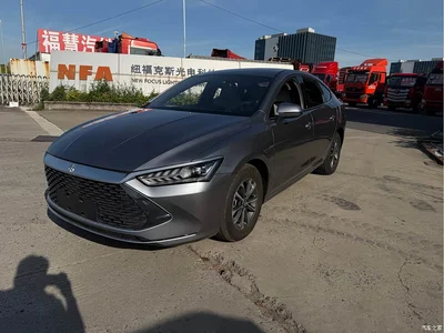 2024 BYD Qin PLUS Glory Edition DM-i 55KM Leading, фото 3, лот 10398128