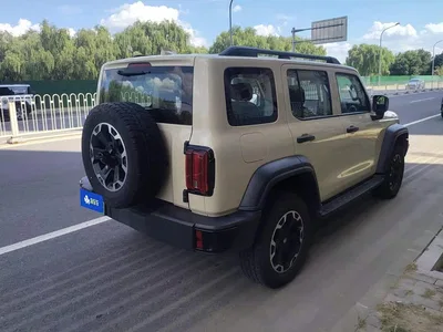2025 Tank 300 New Energy Hi4-T, фото 3, лот 10344599