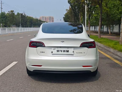 2019 Tesla Model 3 Standard Range Rear-Wheel Drive Upgrade, фото 4, лот 10679269