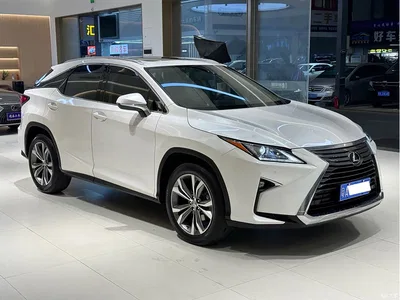 2016 Lexus RX 300 2WD Elite Edition (China V), фото 3, лот 10313322
