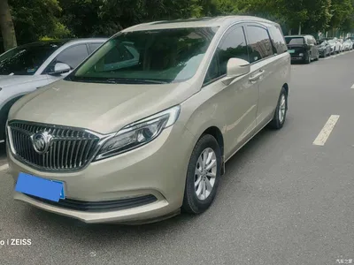 2017 Buick GL8 ES 28T Comfort Type China V, фото 1, лот 11194044