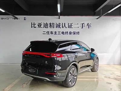 2022 BYD Tang New Energy EV 635KM AWD Flagship, фото 4, лот 10273875