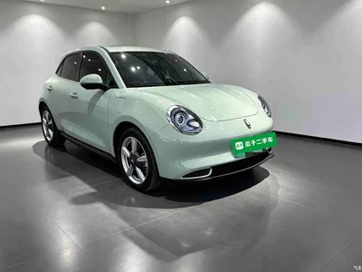2023 Ora Good Cat 401km Standard Range Premium LFP, фото 4, лот 11549131