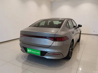 2023 BYD Qin PLUS Champion Edition DM-i 55KM Leading, фото 3, лот 11243394