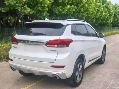2018 Haval H6 Coupe Red Label 1.5T Auto 2WD Luxury Edition, фото 4, лот 10283145