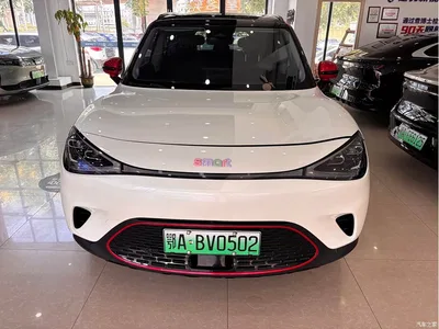 2024 smart Elf #1 Premium Edition, фото 2, лот 10343252