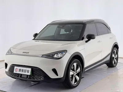 2024 smart Elf #1 Agile Standard Edition, фото 1, лот 10343034