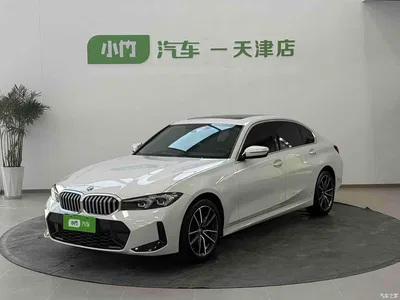 2023 BMW 3 Series 320Li M Sport Package, фото 1, лот 10954716