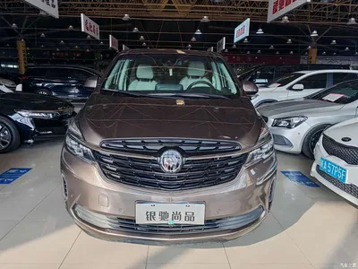 2021 Buick GL8 Land Business Class 652T Smart Luxury, фото 2, лот 10256038