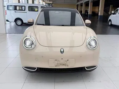 2021 Ora Good Cat 400km Standard Range Athena Edition (LFP), фото 2, лот 10332246