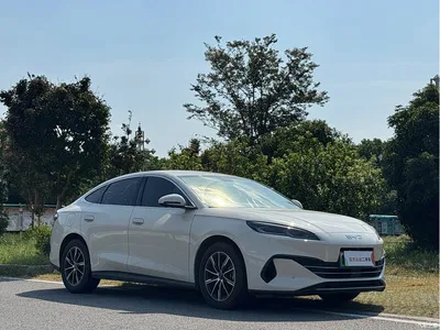 2024 BYD Seal 06 New Energy DM-i 80KM Prestige, фото 3, лот 10611618
