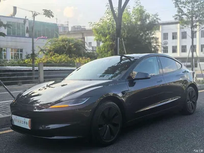 2025 Tesla Model 3 Model Rear-Wheel Drive Edition, фото 1, лот 11193673